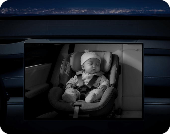 <h4><strong>Night Vision</strong></h4>